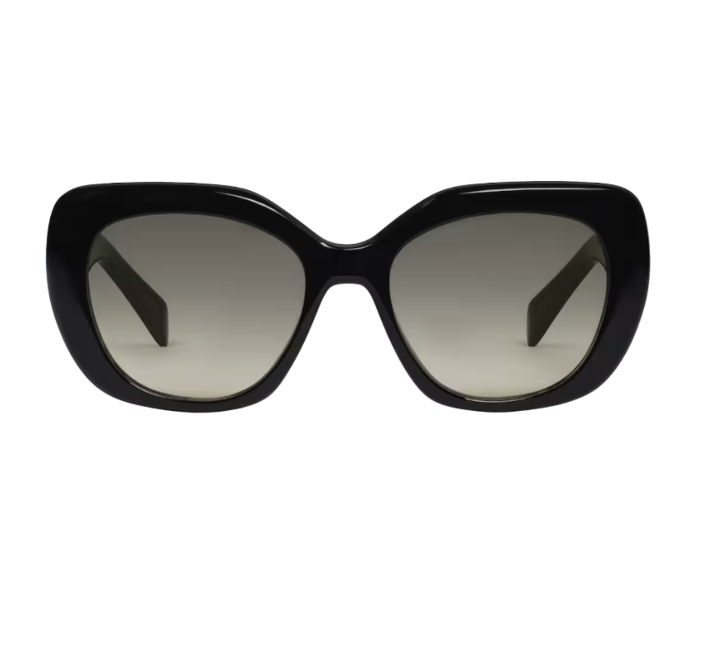 CELINE トリオンフ  アセテート サングラス