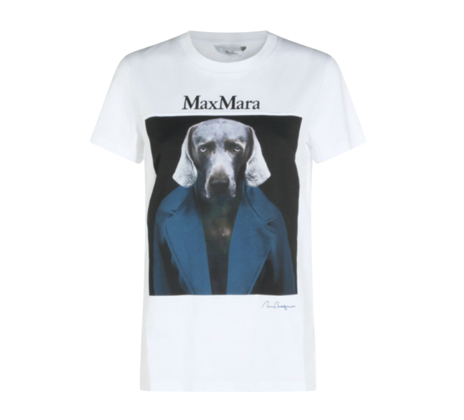MAXMARA [カルカ] ピュア コットン ジャージー Tシャツ  　XSサイズ