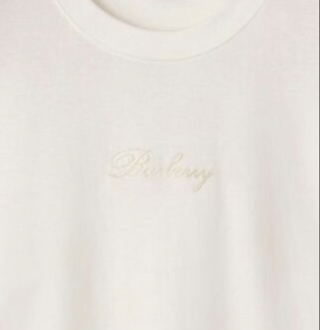BURBERRY Tシャツ   Mサイズ